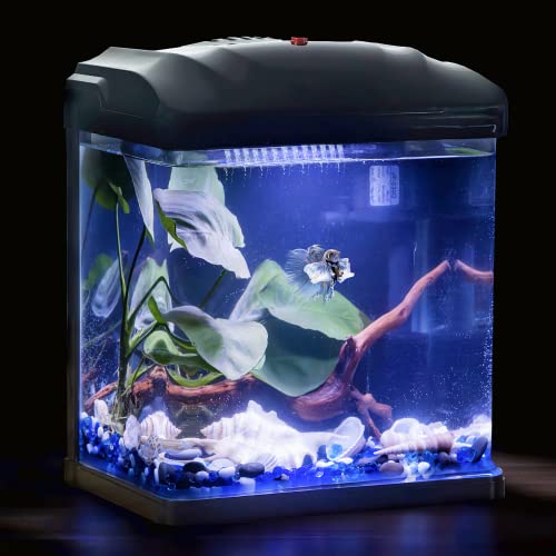 Betta Fish Tank, 2 Gallon Glass Aquarium, Small Fish Tank with Filter and LED Plant Light, Betta Shrimp Guppy Jellyfish Starter Kit Self-Cleaning Tank, Ultra Quiet Decoration Kids Room Gift (Black)