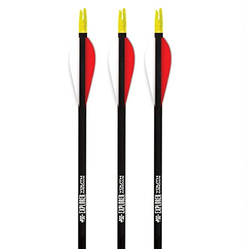 PSE Explorer Arrows 3 Pack, 28'