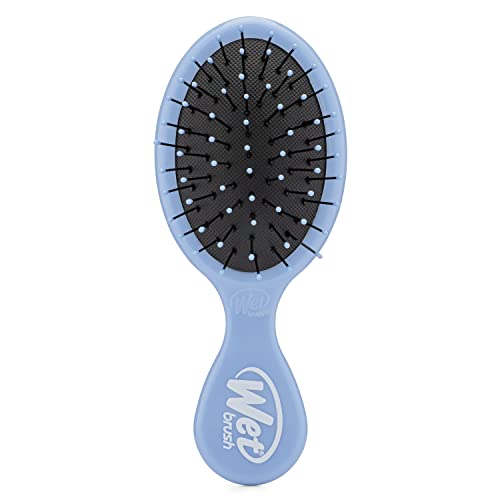 Wet Brush Detangling Brush, Mini Detangler Brush (Sky) - Wet & Dry Tangle-Free Hair Brush for Women & Men - No Tangle Soft & Flexible Bristles for Straight, Curly, & Thick Hair