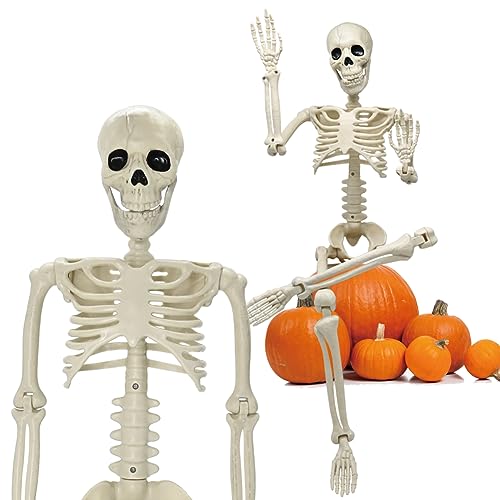 36' Halloween Skeleton Decorations, 3FT Halloween Posable Skeleton Plastic Realistic Human Full Body Bones with Movable Joints for Halloween Party Decor, Haunted House Props Indoor Outdoor Decoration