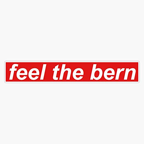 Feel The Bern Sticker Vinyl Bumper Sticker Decal Waterproof 5'