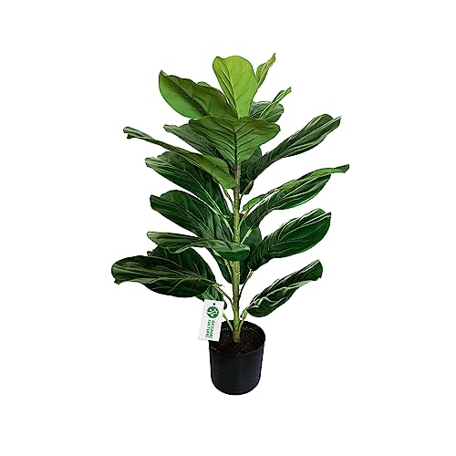BESAMENATURE 30' Little Artificial Fiddle Leaf Fig Tree/Faux Ficus Lyrata for Home Office Decoration
