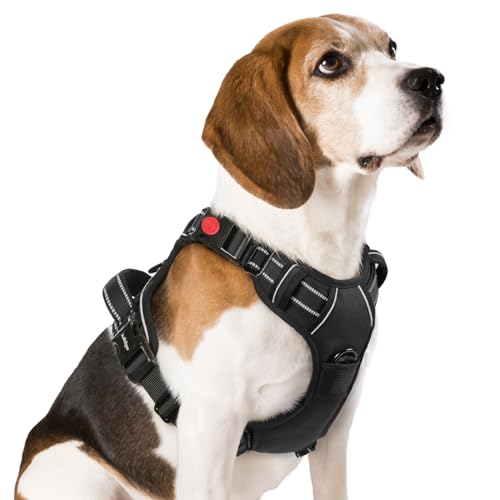 rabbitgoo Dog Harness Medium Sized, No Pull Pet Harness with 3 Buckles, Adjustable Soft Padded Dog Vest with Instant Control Handle, Easy Walking Reflective Pet Vest for Medium Dogs, Black, M