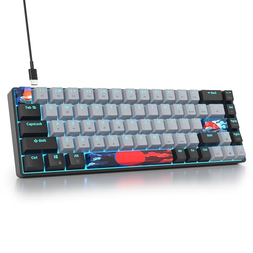 Mosptnspg Protable 60% Percent Gaming Keyboard Mechanical, Mini Compact RGB Backlit 68 Keys Wired Office Keyboard with red Switch for Mac/Win/PC/ps4/ps5/xbox(Dolch/red Switch 68)