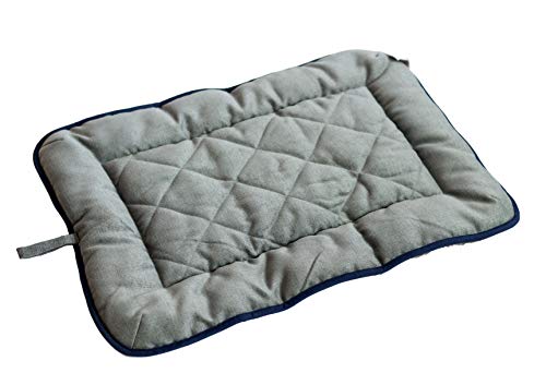 Dog Gone Smart Pet Products Chenille Dog Sleeper Cushion, Grey w/Blue Trim, 19'X24' Small