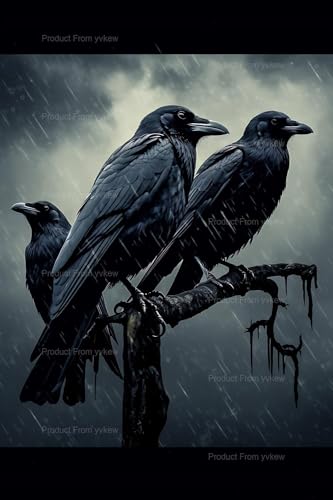 yvkew 5D Black Raven Diamond Painting Kits for Adults, Dark and Gloomy Scene of Ravens Diamond Art Kits for Gift Home Wall Decor 8x10 inch