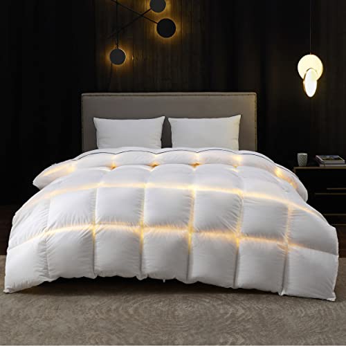 Bedsure Down Comforter Queen Size Winter - Goose Feahter Down Comforter Queen Duvet Insert Extra Fluffy 63 Oz with 8 Corner Tabs Machine Washable (90x90, Winter)