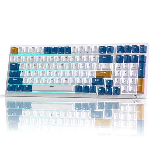 RK ROYAL KLUDGE RK98 Wireless Mechanical Keyboard Triple Mode 2.4G/BT5.1/USB-C 100 Keys Hot Swappable Blue Switches with Number Pad RGB Backlit 3750mAh Battery NKRO Gaming Keyboard Ergonomic Design