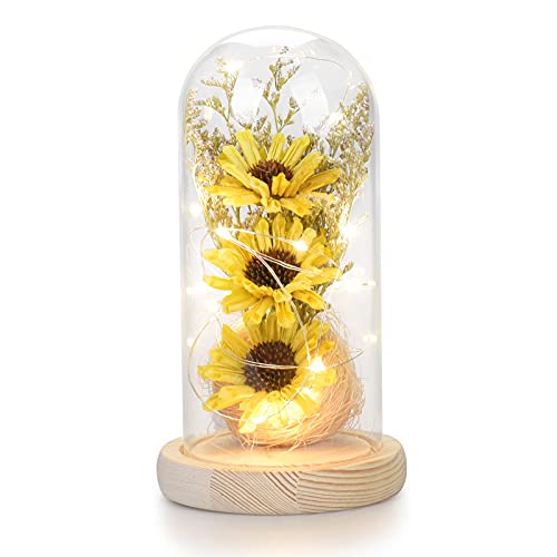 socathey Sunflower Gifts for Women, Artificial Sunflowers in Glass Dome with LED Strip, 1PSC Sunflower Decor on Mother's Day, Valentine's Day, Christmas, Thanksgiving, Birthday (Yellow)
