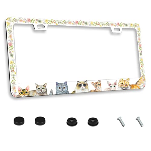 Personalized License Plate Frame Stainless Steel Cute Cat Flower Car License Plate Cover Accessory Decorative 2 Holes and Screws Fits US Standard Size: 12.2 x 6.3 in
