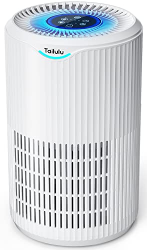 Air Purifiers for Home Large Room Up to 1345 Sq Ft, CADR 180m³/h+, Tailulu H13 HEPA Air Purifier for Pet Dander Smoke Odor Dust Pollen, Air Filter for Bedroom Living Room, Kitchen, Office, Sleep Mode