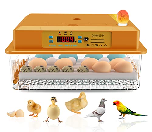 Hethya 16 Eggs incubators for Hatching Eggs Fahrenheit with Automatic Turner Chicken Incubators Farm Poultry Incubators