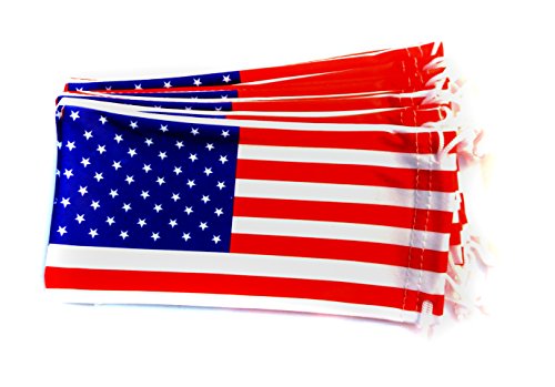 6 PC Sunglass Eyeglass Microfiber Soft Lens Cloth Carry Bag Pouch Case (Ameri...