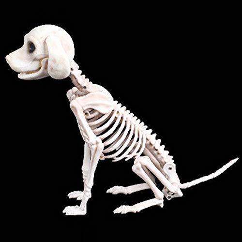 Dempiire Addition Games up to 100 Party Bones Decoration Animal Shop Education Toddler Building Age 2 (AS Show, One Size)
