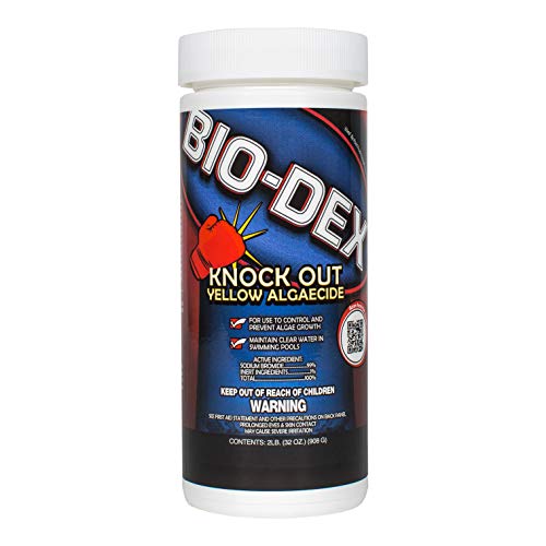 Bio-Dex Knock Out Yellow Algaecide (2 lb)