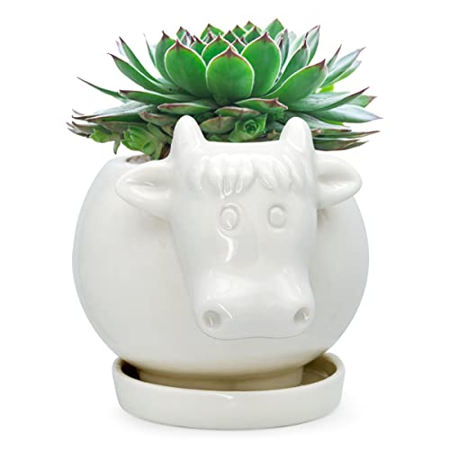 GeLive White Cow Ceramic Succulent Planter Tabletop Animal Plant Pot with Drainage Tray Indoor Cow Stuff Pen Pencil Brush Holder Desk Organizer Decor Home Cartoon Statue Vase Window Box