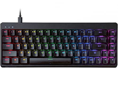 ELECOM Gaming V Custom VK300 Mini 65% RGB Gaming Keyboard, Backlit Wired Mechanical Keyboard, Speed Silver Linear Switches, N-Key Rollover, Detachable Braided Cable, Doubleshot Keycaps (TK-VK300SBK)