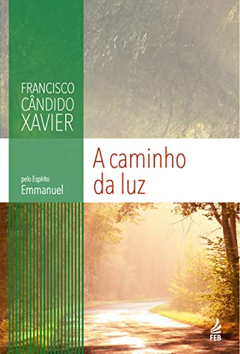A Caminho da Luz (Portuguese Edition)