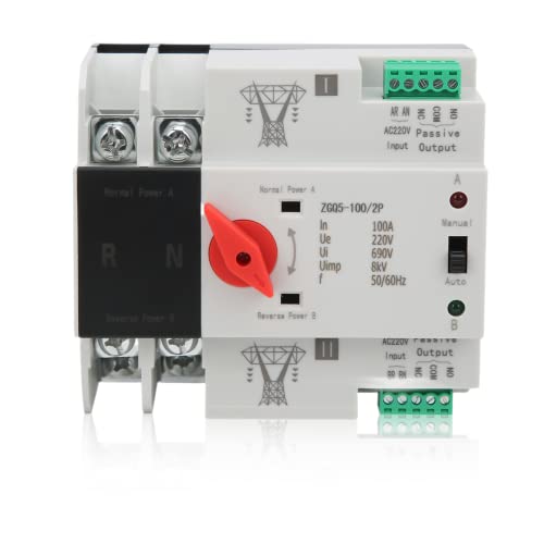 Dual Power Automatic Transfer Switch, 100A 220V 2P Mini ATS Dual Power Toggle Controlle, Din Rail Mounted Controller Electrical Type