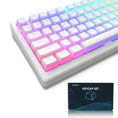 Womier Pudding Keycaps, PBT Keycaps 165 Keys Set Custom Keycap Set, Shine Through Keycaps OEM Profile, Universal Compatiability for 100%, 75%, 65%, 60% Keyboard-White