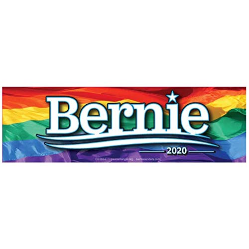 Bernie Sanders for President 2020 Rainbow Flag 9.5' by 3' Bumper Magnet