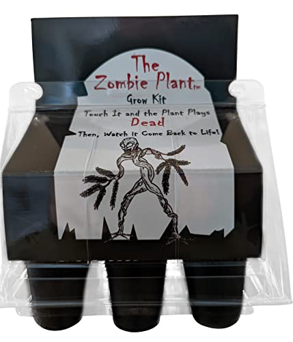 Zombie Plant Greenhouse Grow KIT- (Touch It and It Plays Dead!) Unique Nature Kit- Grow a Fun House Plant That Plays Dead When You Touch It! Comes Back to Life in Minute. Unique Christmas Gift Idea