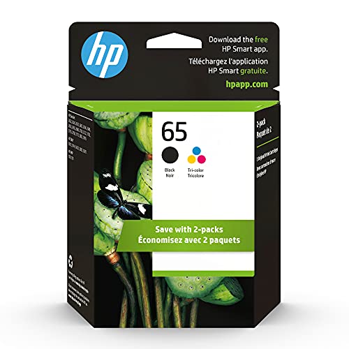 HP 65 Black/Tri-color Ink Cartridges (2-pack) | Works with HP AMP 100 Series, HP DeskJet 2600, 3700 Series, HP ENVY 5000 Series | Eligible for Instant Ink | T0A36AN