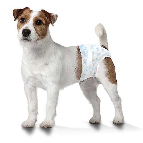 Four Paws Wee-Wee Disposable Dog Diapers Small (12 Count)
