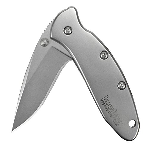 Kershaw Chive Pocket Knife, 1.9' 420HC Steel Blade with 410 Stainless Steel Handle, Assisted Opening with Flipper, Single-Position Pocketclip, Small EDC