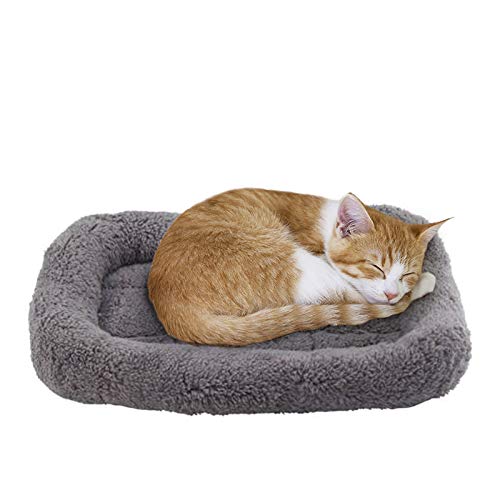 lesypet Cat Beds for Indoor Cats, 15' x 10' Small Cat Bed Curl Sleep Plush Cushion with Pillow, Non-Slip Bottom Washable Mat, Small