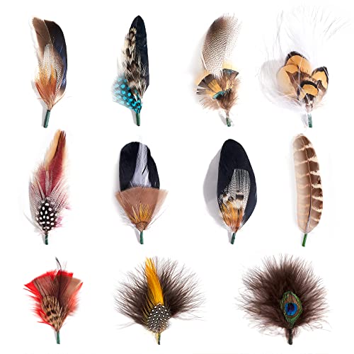 MIX BROWN Hat Feathers, Assorted Natural Feather Packs Accessories for Fedora, Feathers for Crafts, Cowboy Hats, Pork Pie Hats, Trilby Hats, Oktoberfest Hat (11 PCS)