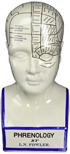 Design Toscano SP020 Full Size Phrenology Head Bust Fortune Telling Statue, 12 Inch, Porcelain, White