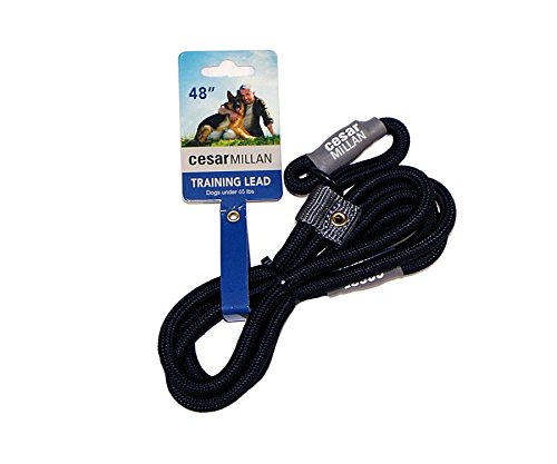 Cesar Millan Slip Lead Leash - 2-in-1 Slip Collar Dog Training Lead & Collar | Heavy Duty Durable Weatherproof Rope Leash, No Pull Training | Length 4ft Diameter 4/10”(Regular, Black)