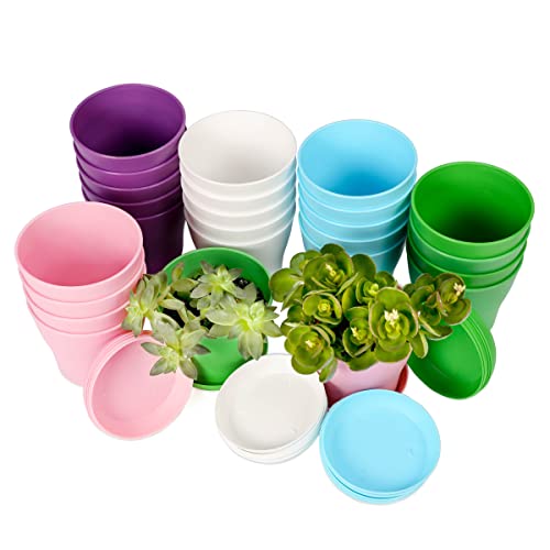 TDHDIKE 25 Pcs Plastic Planters Indoor Flower Plant Pots, Mini Flower Seedlings Nursery Pot/Planter/Flower Pot with Pallet, Modern Decorative Gardening Containers (Pink/White/Purple/Blue/Green)