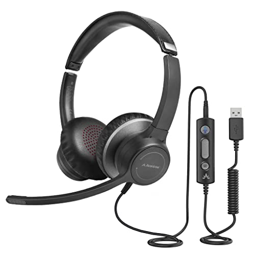 Avantree Dulcet Pro - Wired Headset with Environmental Noise Cancelling Microphone, USB-A Connectivity, in-line Controls for Volume & Mic Mute, Adjustable Boom Mic for PC Computer Laptop