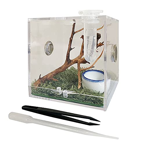 JOBEDE Jumping Spider Enclosure, Jumping Spider Habitat with Dropper Tongs Acrylic Reptile Breeding Box for Tarantula Scorpion Sling Isopods Invertebrates Insects Mantis Snake Gecko