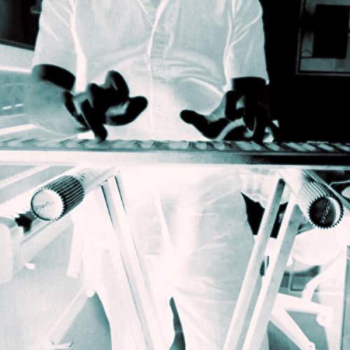 Goldberg Variations 1st (Bach) Meets Roli Seaboard Rise