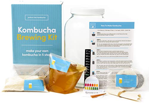 Joshua Tree Kombucha Complete Starter Kit – Kombucha SCOBY with Strong Starter Tea, 1 Gallon Glass Fermenting Jar, Cloth Cover, Temperature Strip, pH Test Strips, Step-by-Step Brewing Instructions