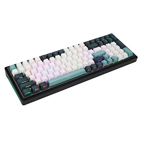 YMDK 133 Key Botanical PBT Double Shot Side-lit Shine Through Backlit keycaps OEM Profile for MX Mechanical Keyboard 108 96 87 NJ80 KBD67 ID80 84 68 64