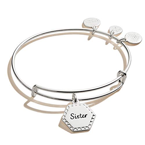 Alex and Ani Because I Love You Sister Expandable Wire Bangle Bracelet for Women, Woven Together Charm, Shiny Antique Silver Finish, 2 to 3.5 in