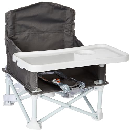 Regalo My Chair 2-in-1 Portable Travel Booster Seat & Activity Chair, Bonus Kit includes, Oversized Removable Tray with Cup Holder, Gray