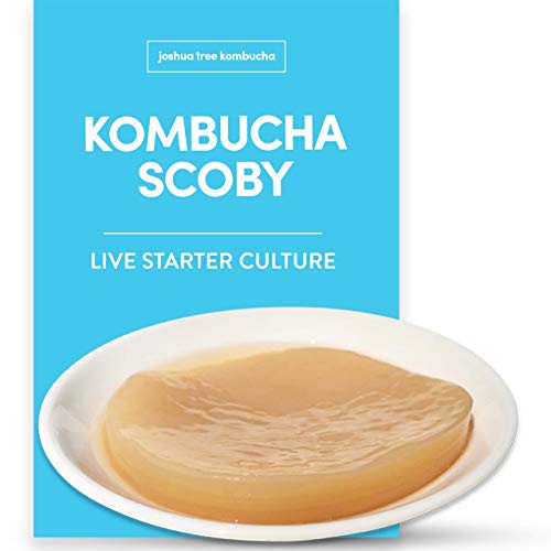 Kombucha Scoby and Starter Tea, Live Kombucha Starter Liquid, Kombucha Tea Starter Culture, Brew Kombucha at Home, Makes a 1 Quart Batch of Kombucha, No Vinegar, No Artificial Flavors