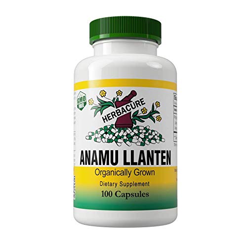 Anamu LLanten 550mg (1200mg Capsules per serving) - Organically Grown - 100