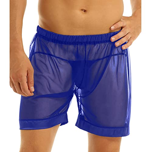 Men Breathable Underwear See Through Boxer Briefs Sheer Mesh Shorts Soft Underpants Lingerie Pajamas Comfort Stretch Valentine's Day Transparent Pants Cover Up Undies Low women for panties P79-Blue