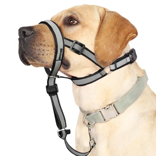 BARKLESS Reflective Head Collar, No Pull Collar for Medium Large Small Dogs, Anti-Pull Muzzle Leash for Medium Sized Breed, Adjustable Soft Dog Halter, Nose Leash for Easy Control on Walks