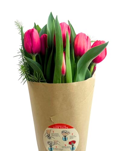 Stargazer Barn Jingle Bell Bouquet Red Tulips Fresh Flowers Bouquet Fresh Cut Flowers with Christmas Greens - Bouquet of Flowers for Christmas or Holidays - 15 Stems