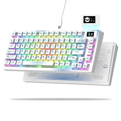 XVX S-K80 75% Keyboard with Color OLED Display Mechanical Gaming Keyboard, Hot Swappable White Keyboard, Gasket Mount RGB Custom Keyboard, Pre-lubed Stabilizer for Mac/Win, Raindrop Theme