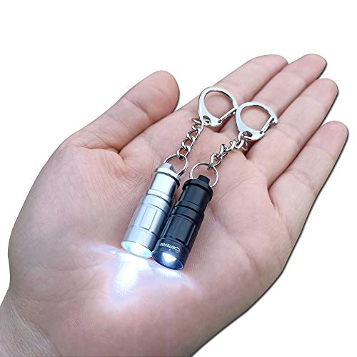 2 Pack Smallest Keychain Flashlight Micro Mini Small Tiny Led Flashlight Bright Key Ring Light Torch for EDC Emergency Dog Walking Sleeping Reading Gift for Kids or Parents