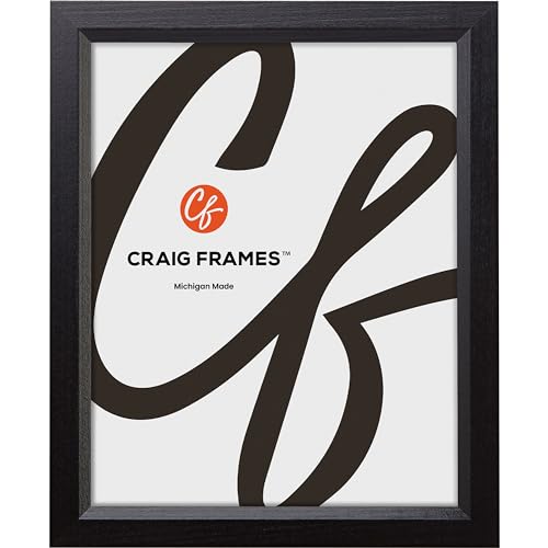 Craig Frames Economy, 13x18 Picture Frame, Ebony Black