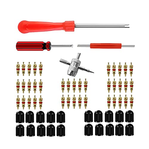 AICEL Tire Valve Stem Tool Remover & Installation Set, 40Pcs Valve Cores and 20Pcs Valve Caps, 2Pcs Single Head Tire Valve Core Remover, 1Pcs Dual Head Puller and 4-Way Valve Tool
